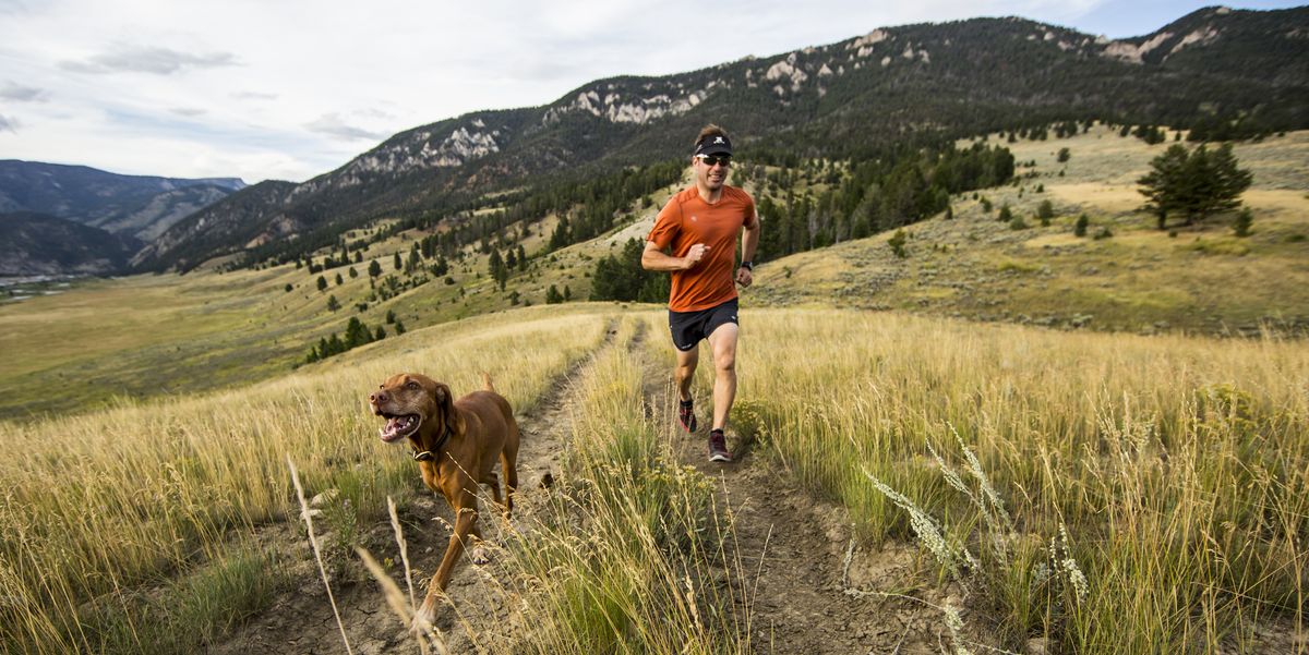 Best Running Dogs - Best Dog Breeds for Runners 2022