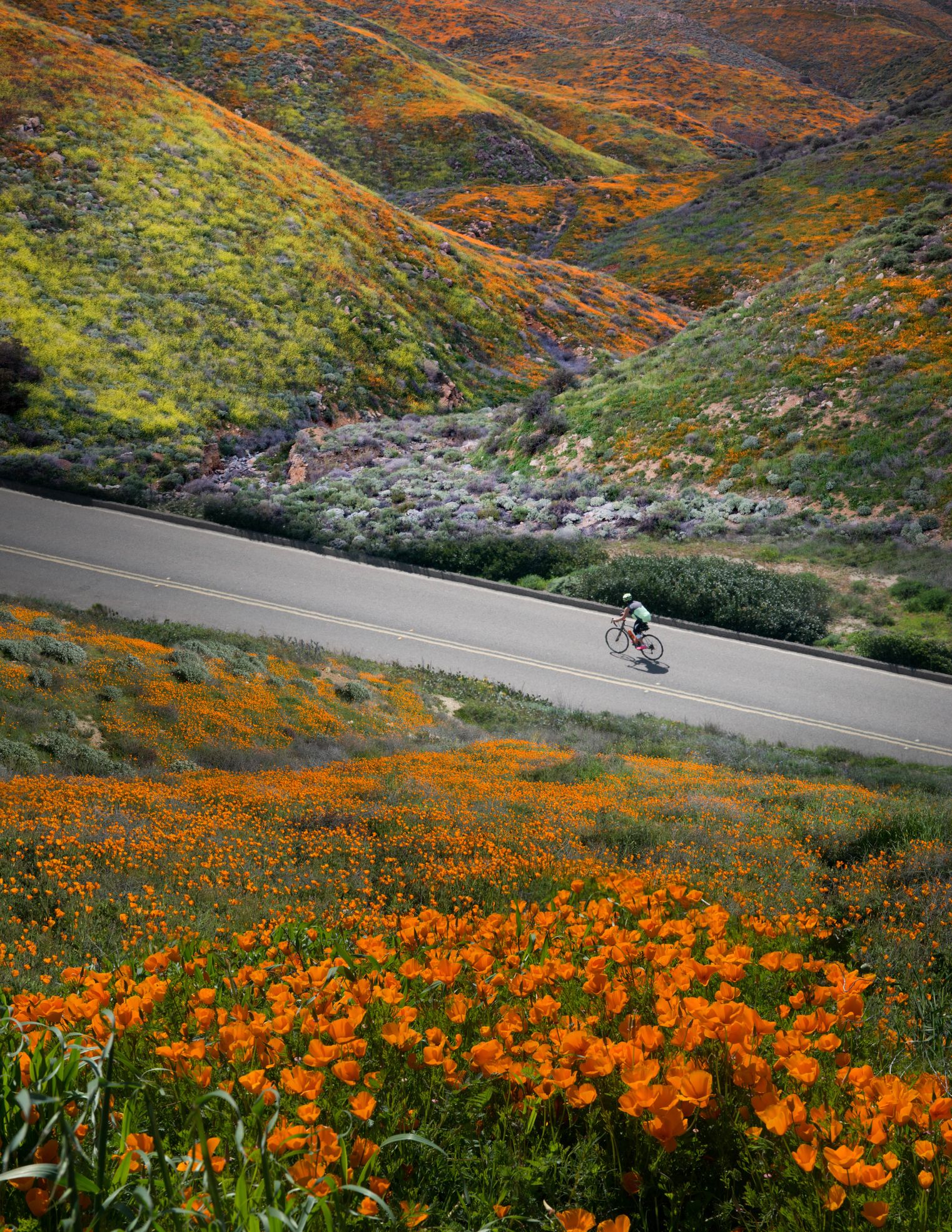 spring cycling