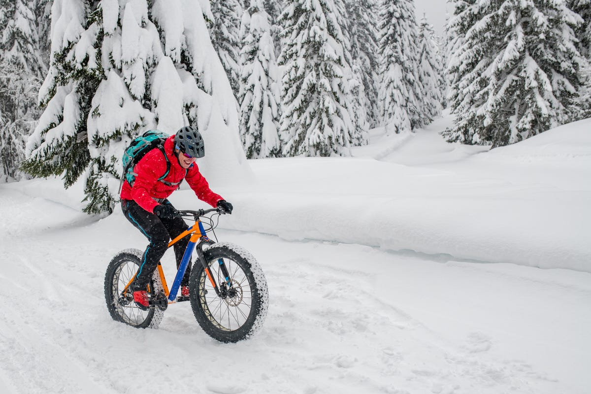 go fat biking