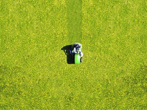 man mowing green field of dandelions, aerial view