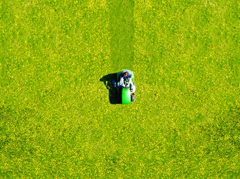 Man mowing green field of dandelions, aerial view