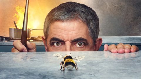 el hombre contra la abeja