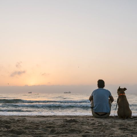 man with his dog sitting on beach sand at dawn