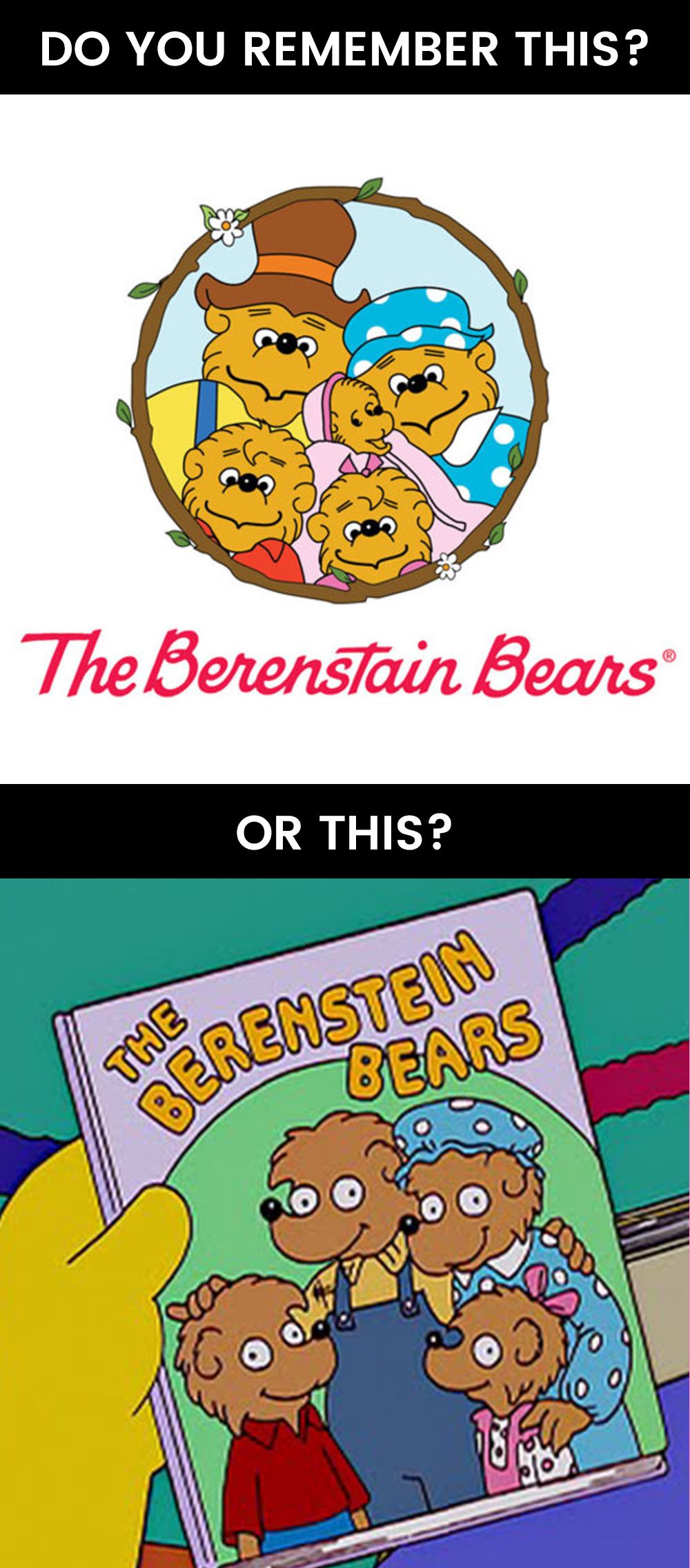 What Is The Mandela Effect - Berenstein Bears Vs Berenstain Bears Theory