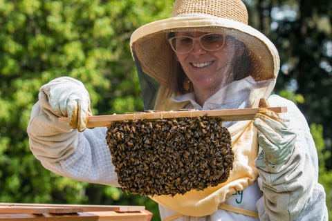 Mandy Shaw, beekeeper