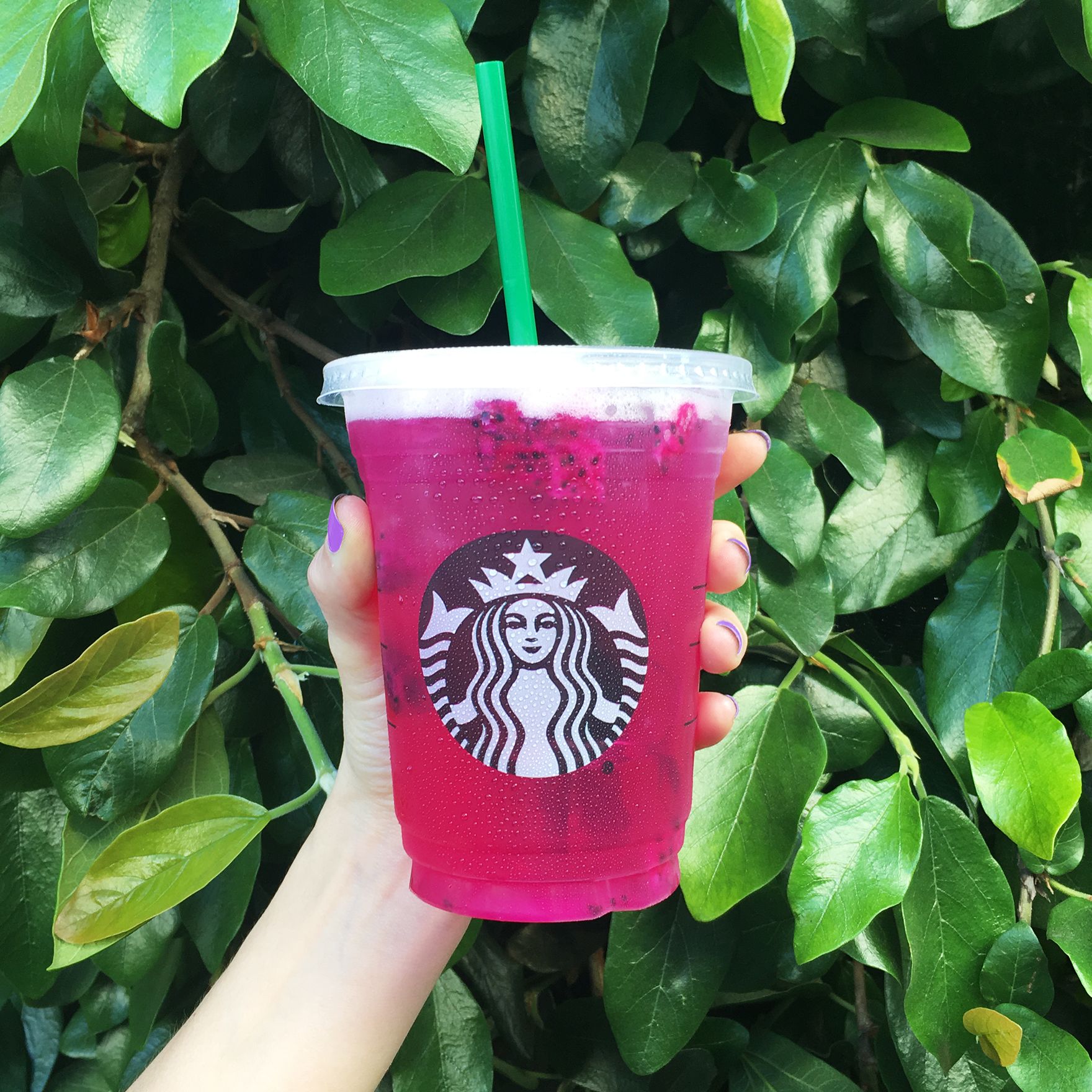 Starbucks Is Releasing Mango Dragonfruit Refreshers Just In Time For Summer