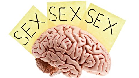 brein met post its erboven met het woord seks erop