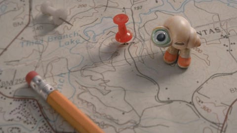 Marcel the shell with shoes