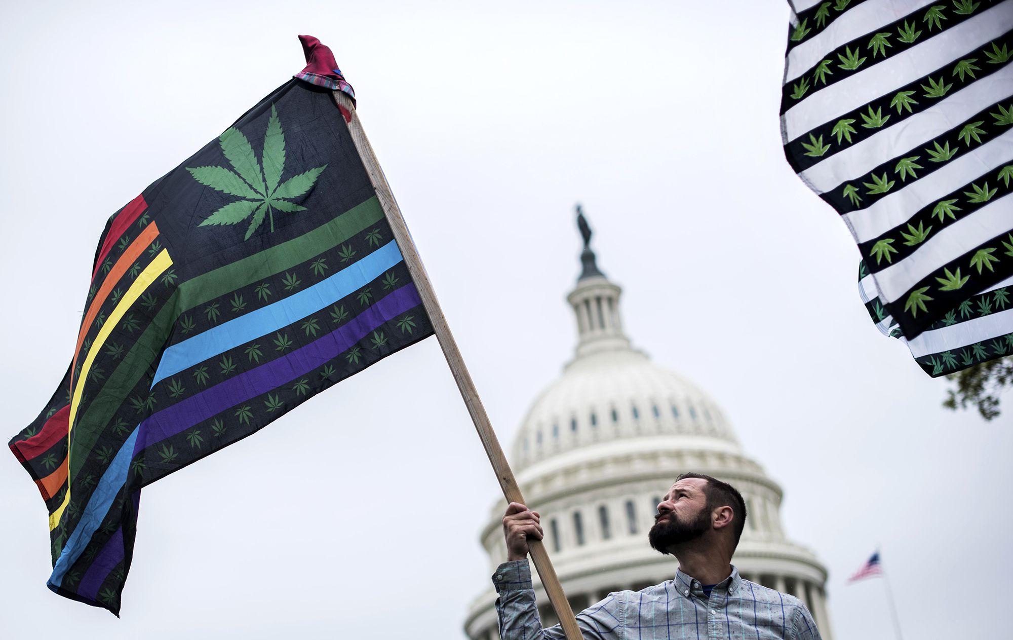 Major Federal Marijuana Reform Bill Gets Bipartisan Support In Congress ...