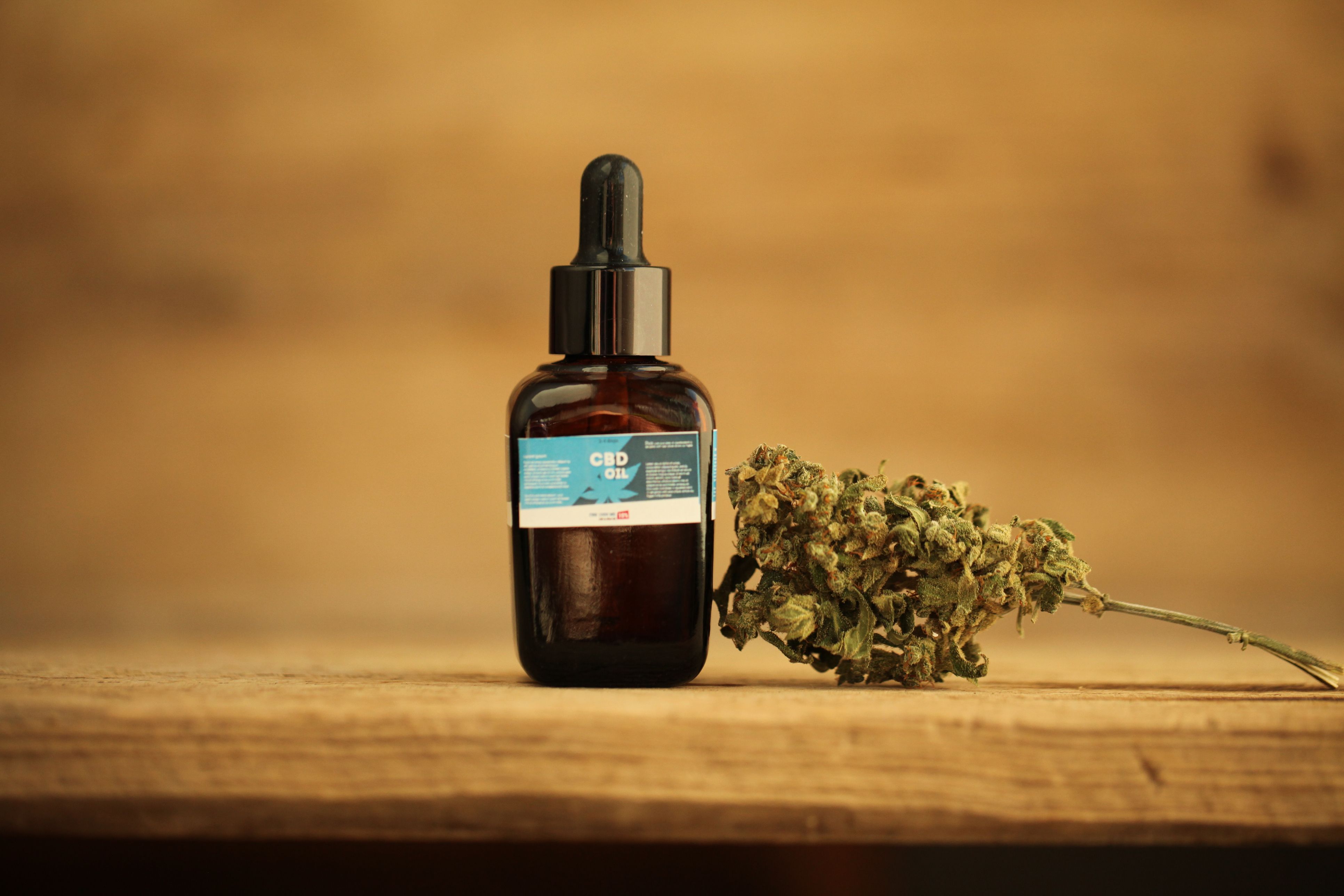 hemp oil vs cbd oil for dogs