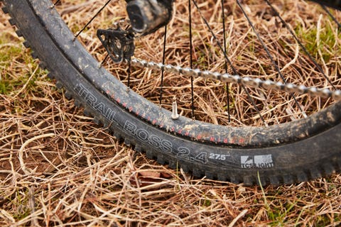 Marin Hawk Hill 3
