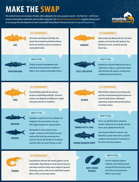 The Marine Conservation Society Release Good Fish Guide