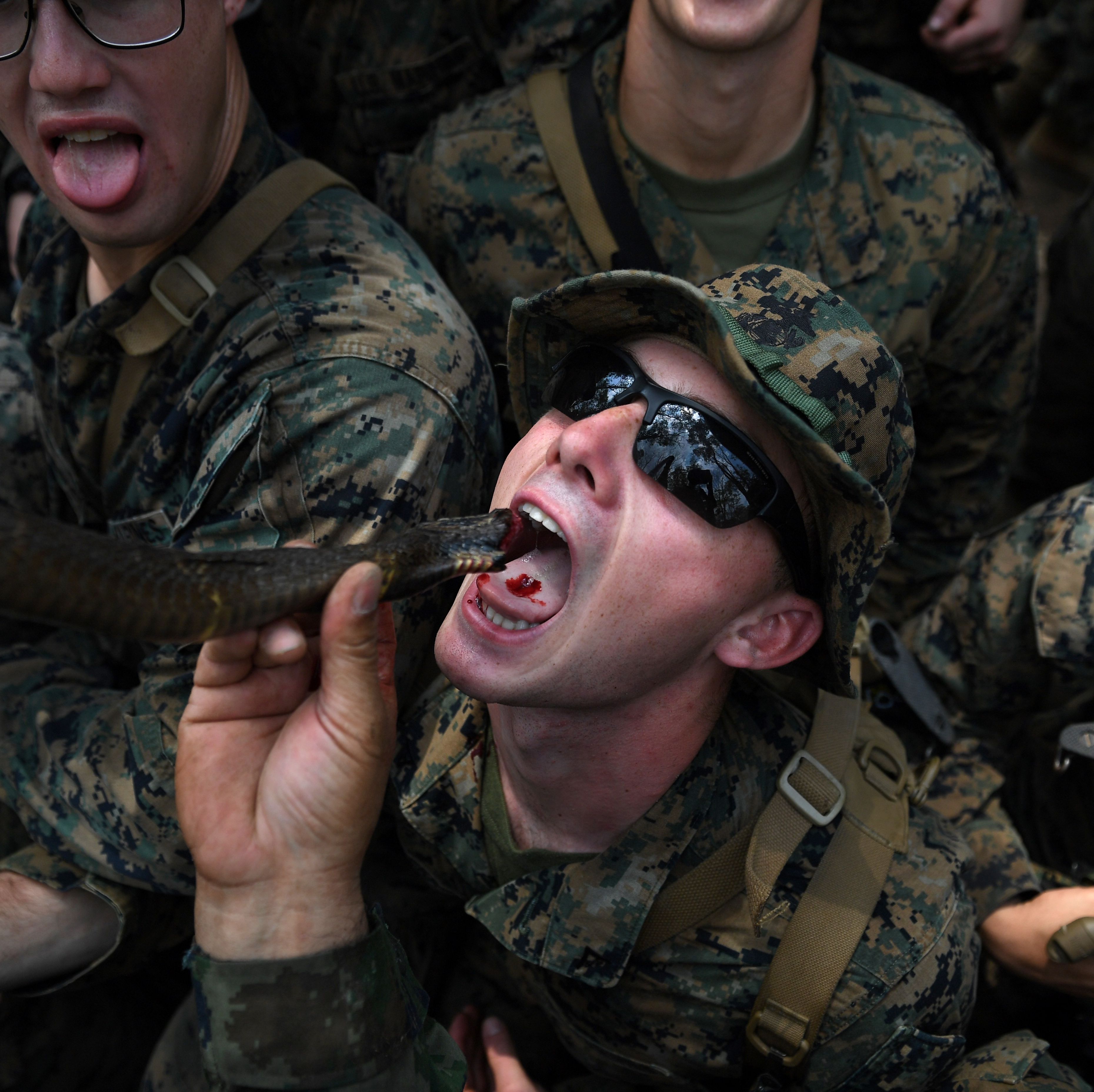 Marines Used to Drink Cobra Blood During Military Exercises. Not Anymore.