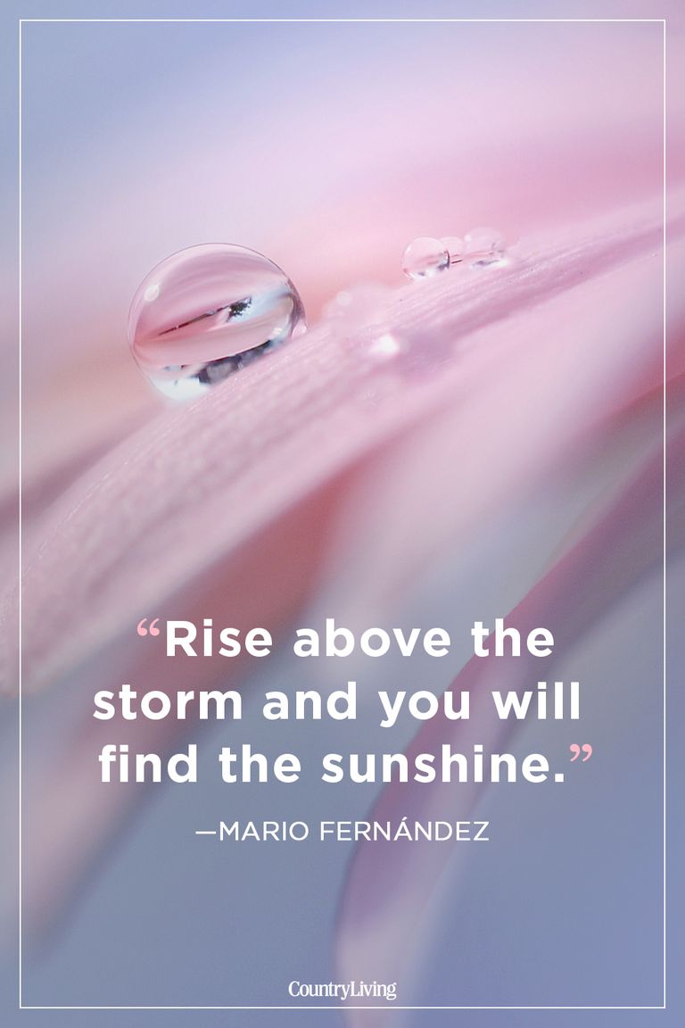 Image with an inspirational quote about summer