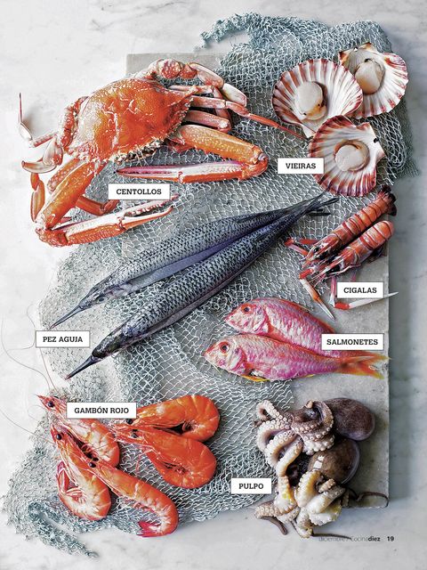 Actualizar 119+ imagen tipos mariscos comestibles