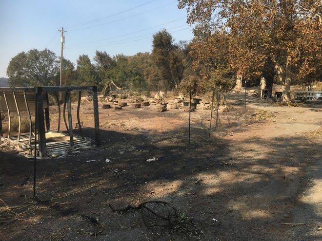 Cultivator Mark West’s garden in northeastern Santa Rosa burned down early Monday morning. Photo courtesy of Mark West