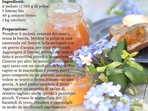 Flower, Petal, Liquid, Flowering plant, Drinkware, Ingredient, Mason jar, Lavender, Cup, Peach, 