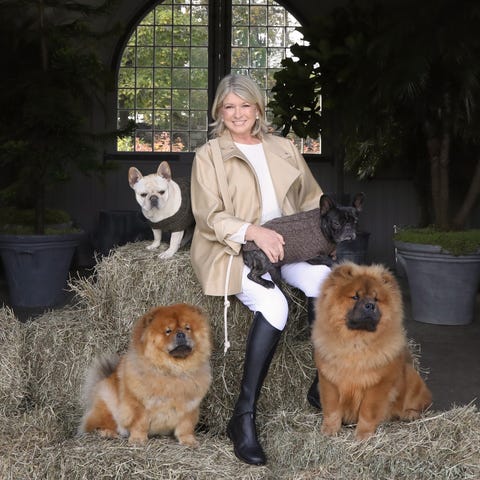 martha stewart with dogs