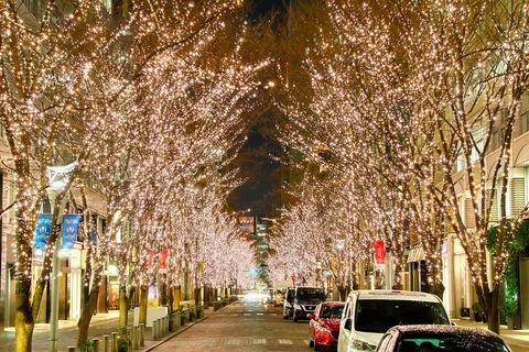は希望に満ちた光 東京近郊で見逃せないクリスマスイルミネーション