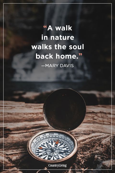 25 Inspirational Hiking Quotes - Best Sayings About Walking In Nature