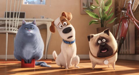 52 películas buenas para ver en familia con los niños 52 películas buenas para ver en familia con los niños