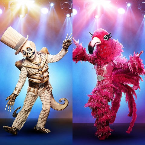 'The Masked Singer' Season 2: Costumes, Cast, Premiere Date, and News