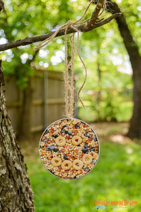 mason jar decor bird feeder