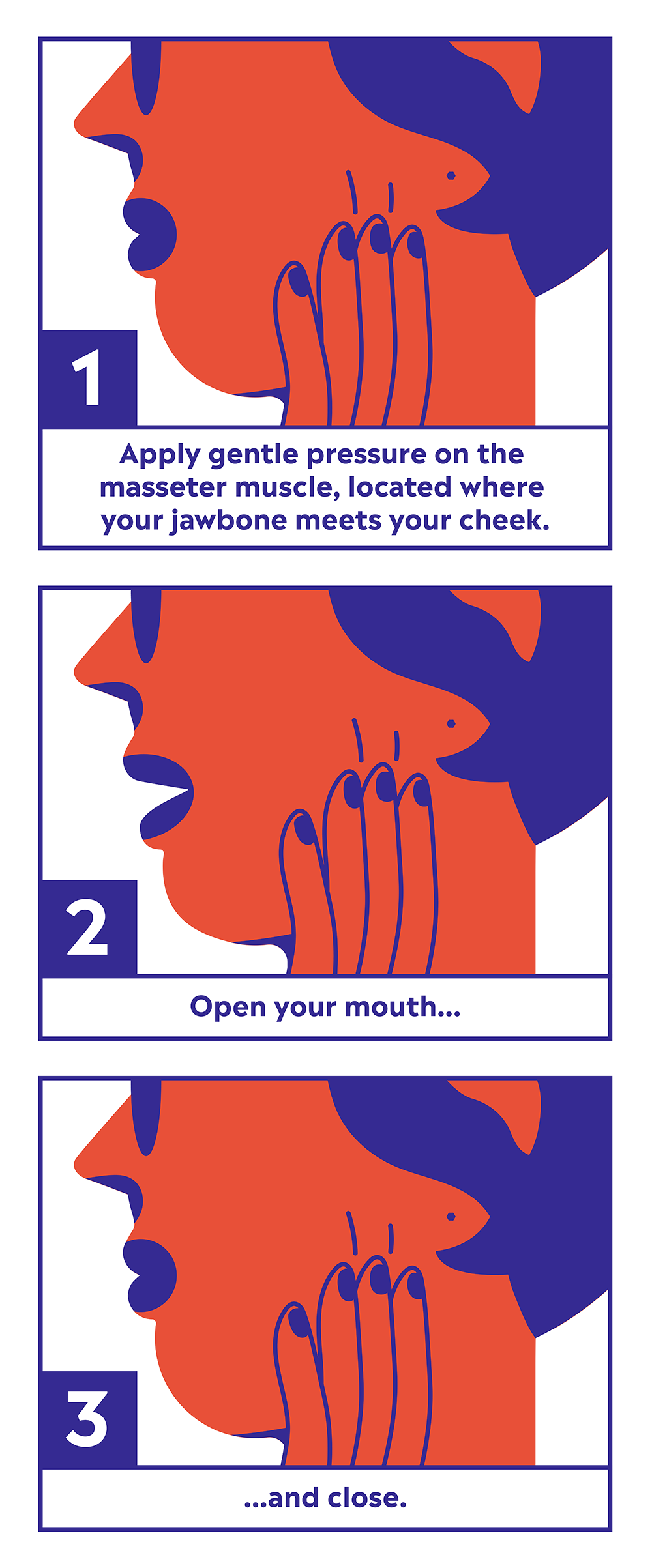 How to do a masseter massage -