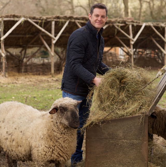 matt baker announces new personal documentary, ﻿our farm in the dales