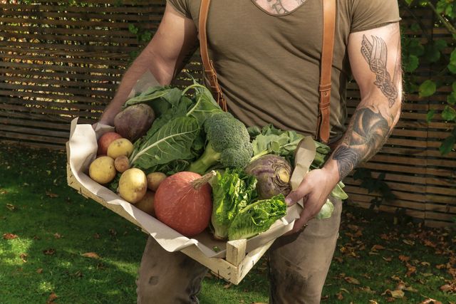 mature man carrying crate with vegetables in his garden