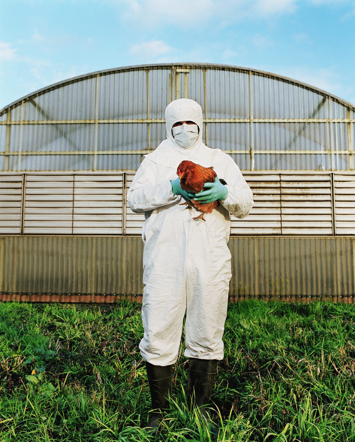 What is bird flu, and how much should you worry about it?