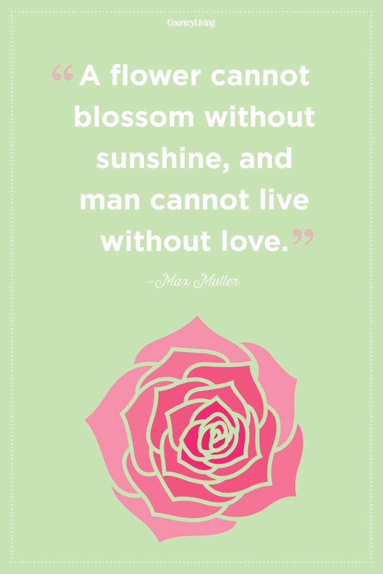 20 Inspirational Flower Quotes - Cute Flower Sayings About Life and Love