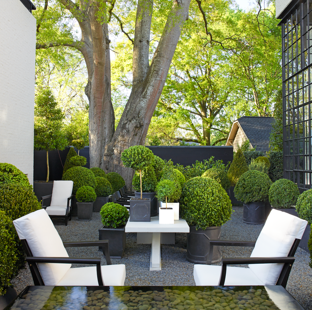 21 Boxwood Landscaping Ideas 2021 Boxwoods For Front Yard And Backyard