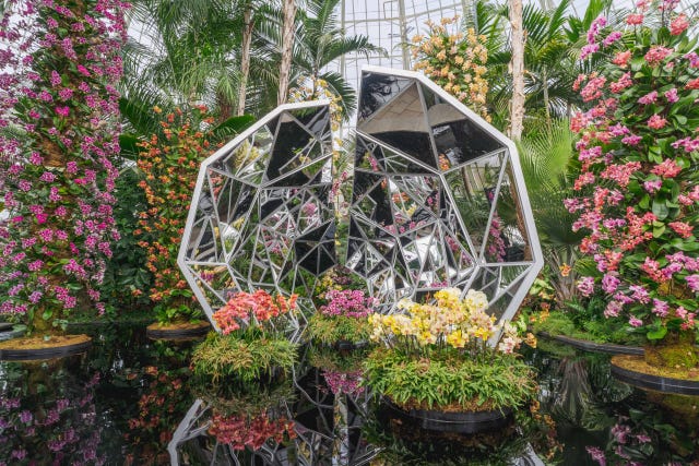 the orchid show
jeff leatham’s kaleidoscope new york botanical garden bronx