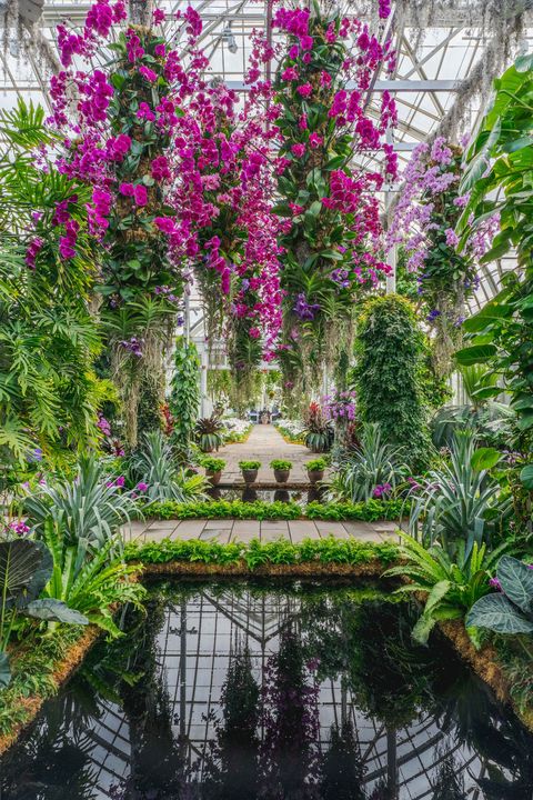 the orchid show
jeff leatham’s kaleidoscope new york botanical garden bronx