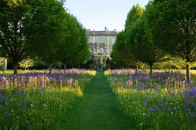 式典や公的行事以外にも、チャールズ国王の姿を目にすることができる場所がひとつある。それは、イギリスのグロスターシャー州にある「ハイグローブ・ハウス」﻿の静かな庭園。国王の植物への情熱やこだわり、環境保護への関心、そして家族への愛も詰まった「ハイグローブ・ガーデン」の、知られざる10の事実をご紹介。