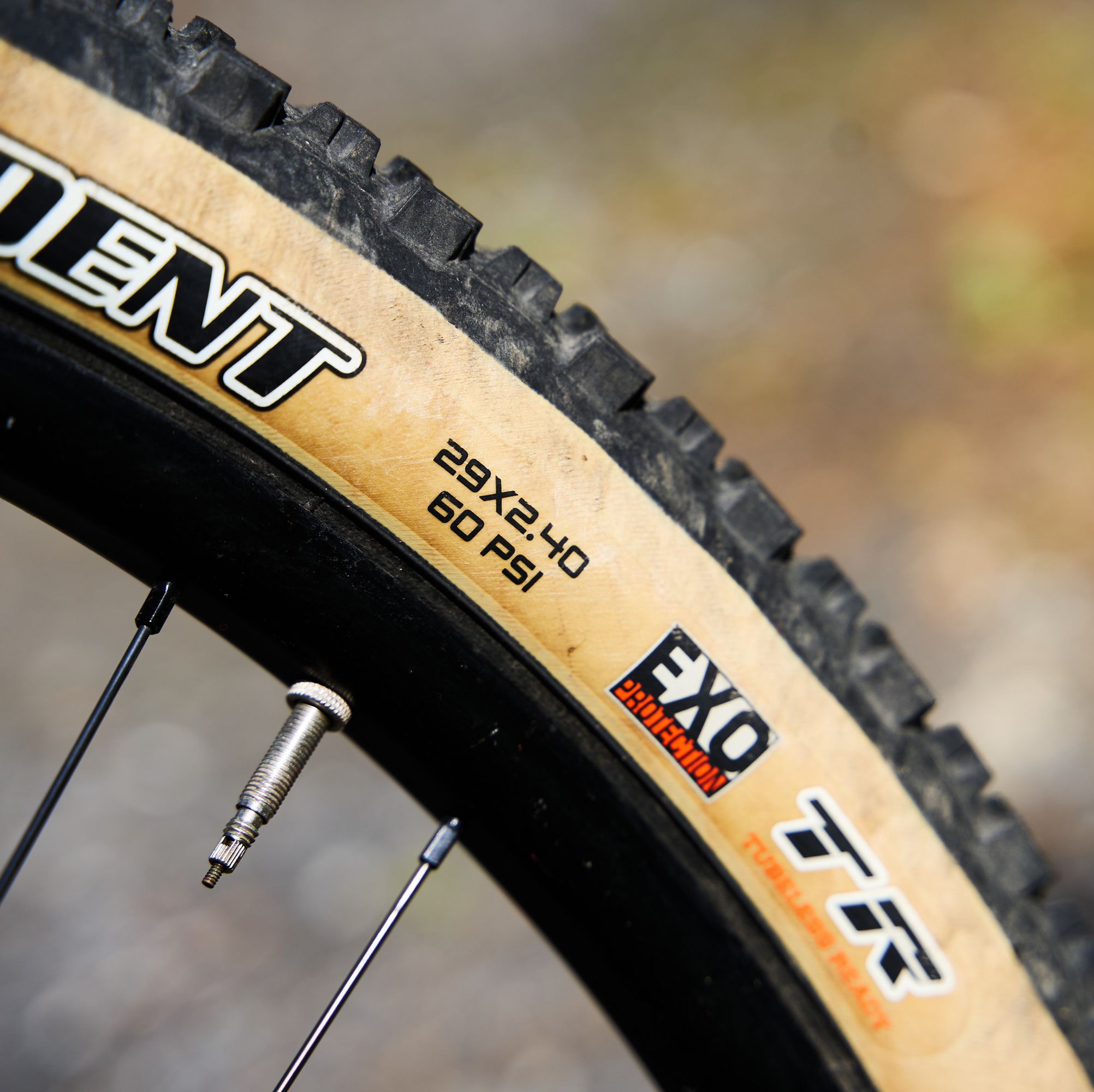 Bike Tire Size Isn’t Just a Number on a Spec Sheet. Here’s Everything You Need to Know