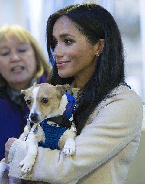 the duchess of sussex visits mayhew