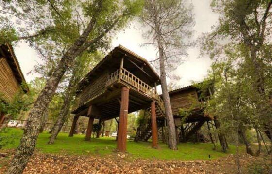 Turismo rural: las mejores casas en los árboles de España