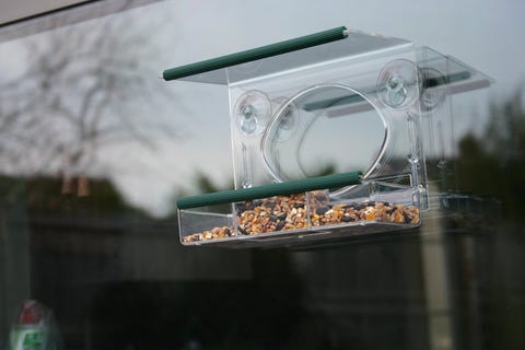 Meripac Window Feeder - Amazon