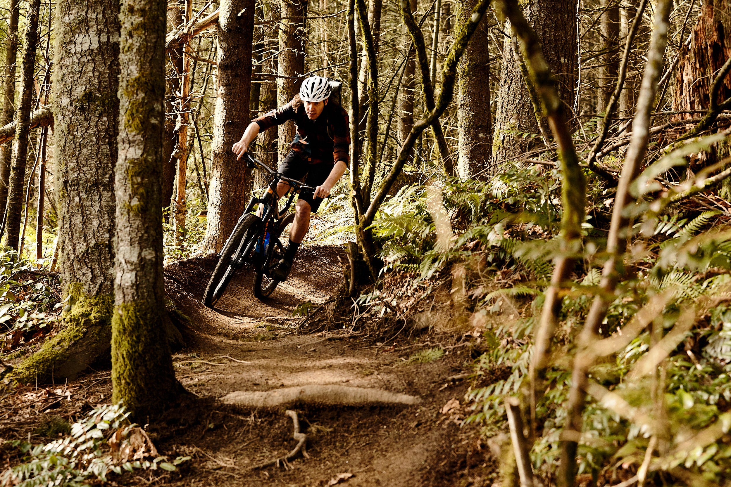 Beginner Mtb Trails Near Me www npssonipat