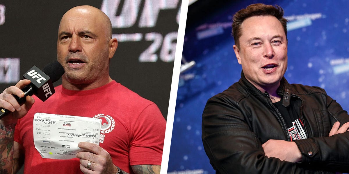 Joe Rogan Has Offered to Train Elon Musk to Fight Vladimir Putin