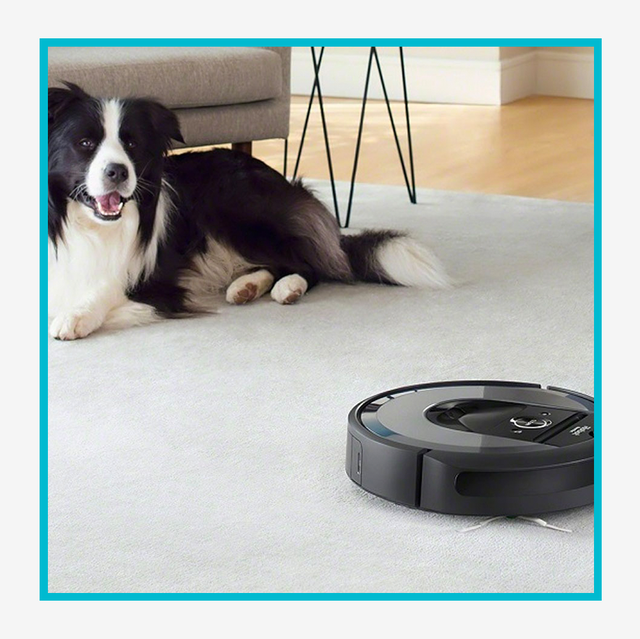 9 Best Vacuums For Pet Hair 2021, Best Stick Vacuum For Pet Hair And Hardwood Floors