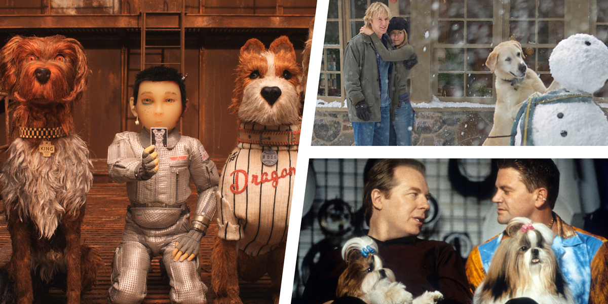 22 Best Dog Movies of All Time