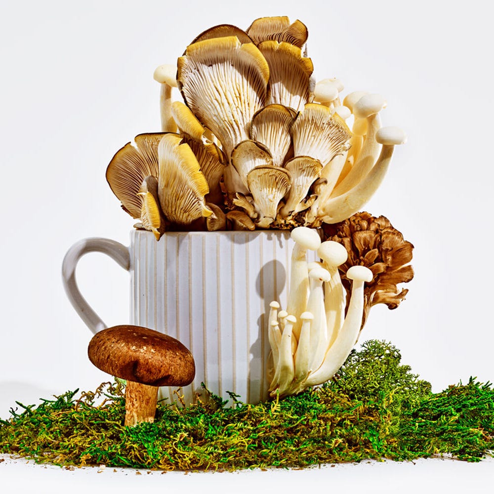 Mushroom Supplements and Mushrooms Aren’t Exactly the Same Thing