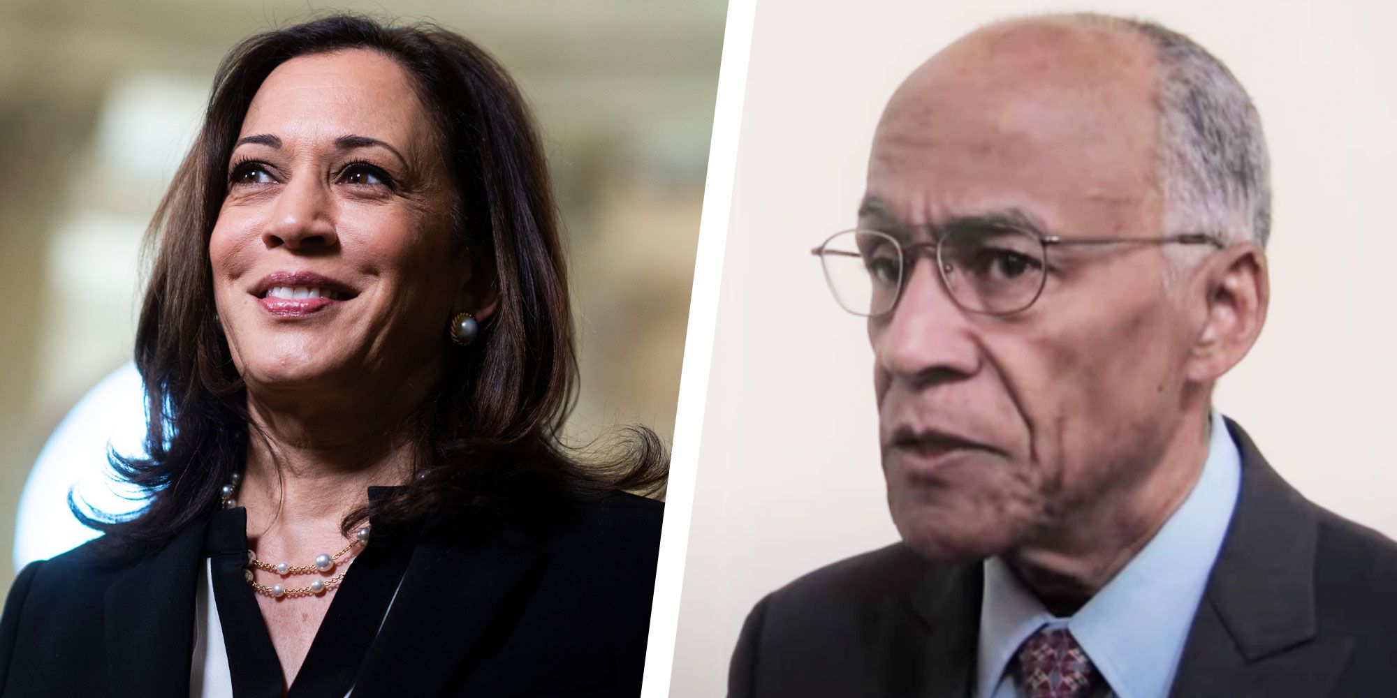 Who Is Donald Harris Kamala Harris Dad Is An Economics Scholar