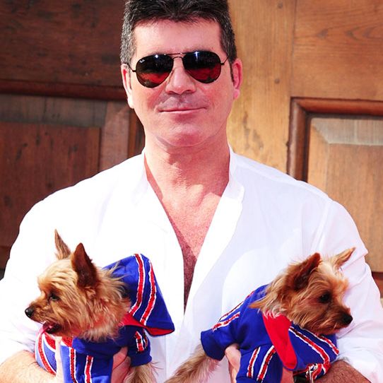 celebs with their dogs