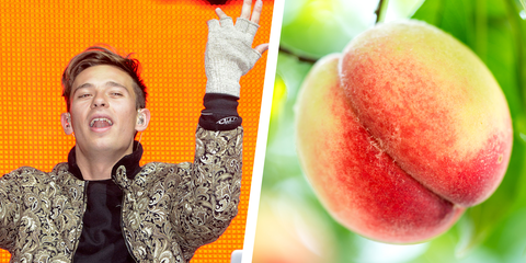 Peach, Fruit, Plant, Peach, Food, Apple, 