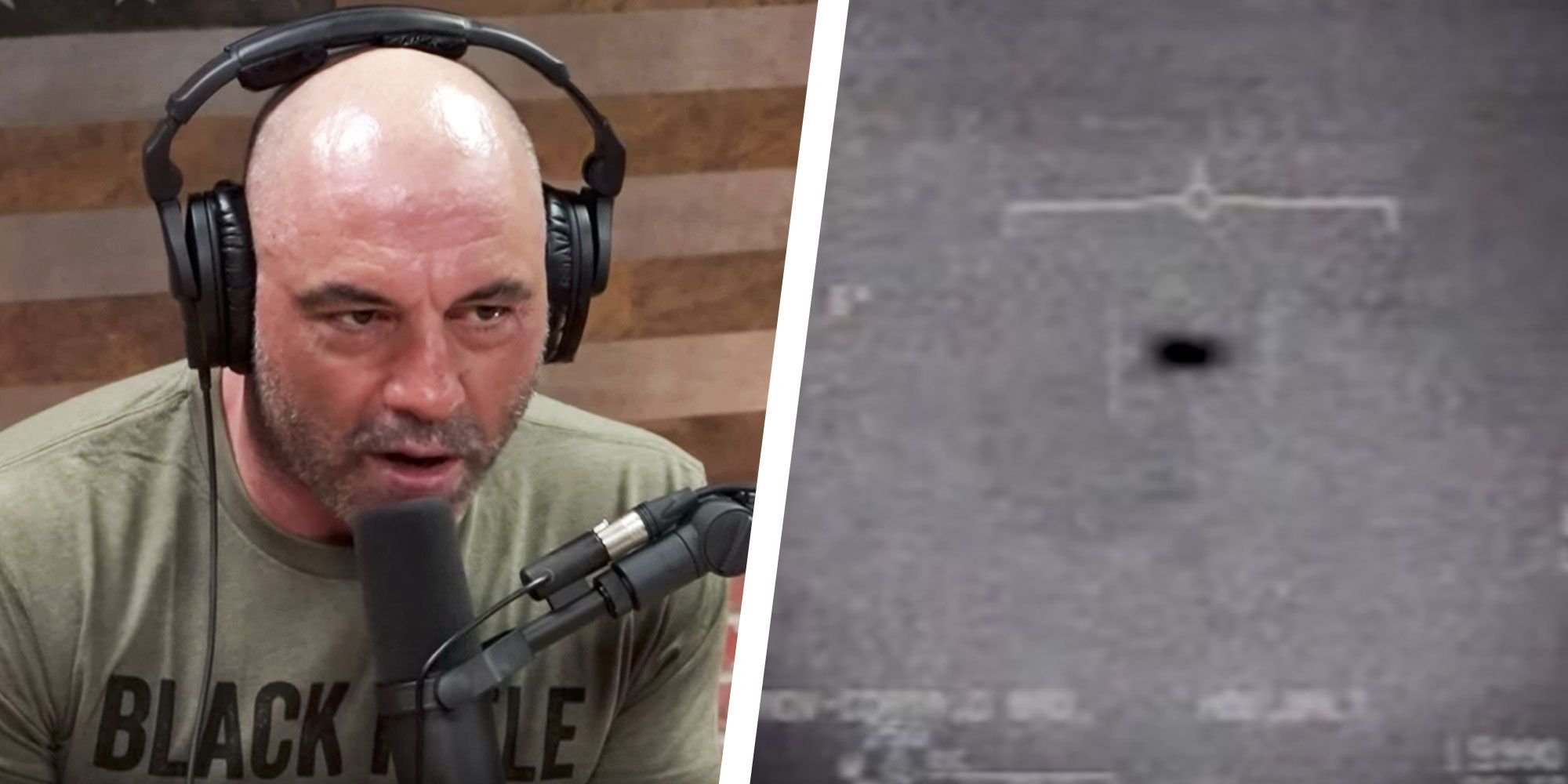 Joe Rogan News, Articles, Stories & Trends For Today