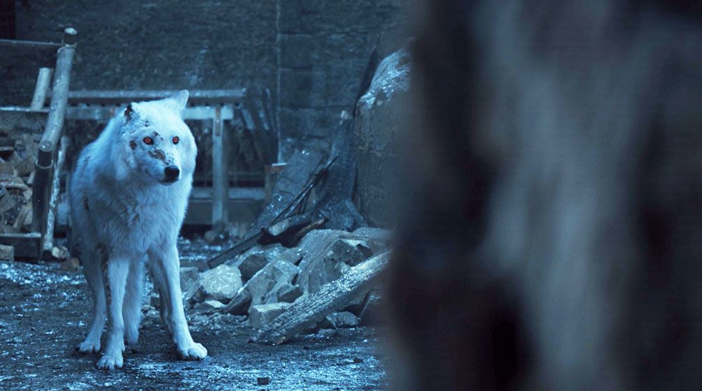 Jon Snow S Goodbye To Ghost Has Game Of Thrones Fans Furious